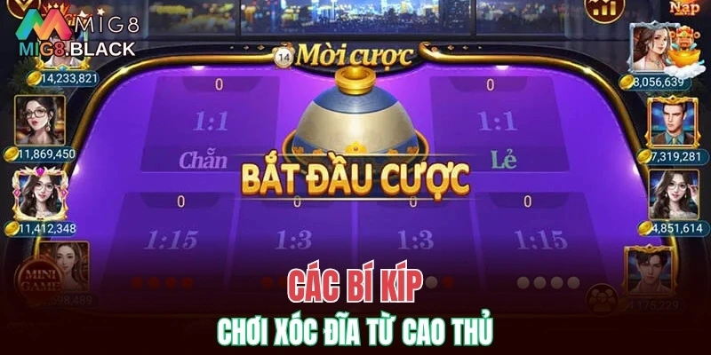 Cách Thắng Blackjack - Bí Quyết Chinh Phục Thưởng Lớn 7 Các bí kíp chơi xóc đĩa từ cao thủ