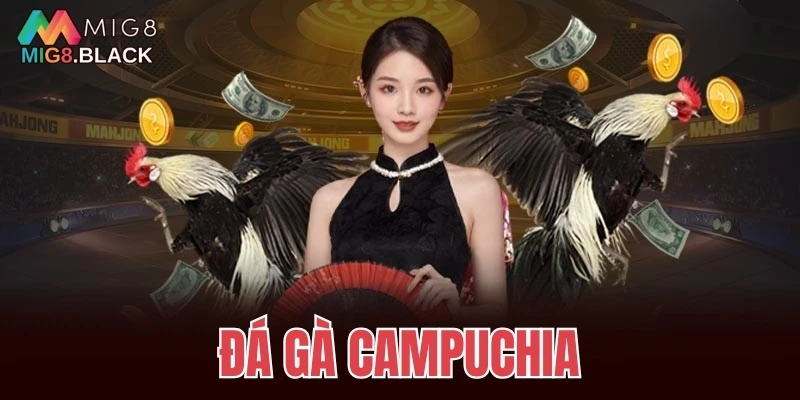 đá gà Campuchia