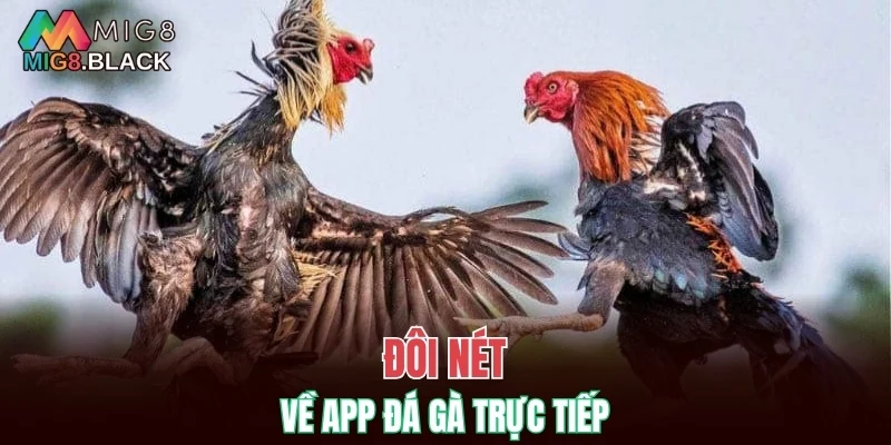 Nhóm Kéo Baccarat - Nhận Biết Lừa Đảo Khi Gia Nhập 5 Đôi nét về app đá gà trực tiếp