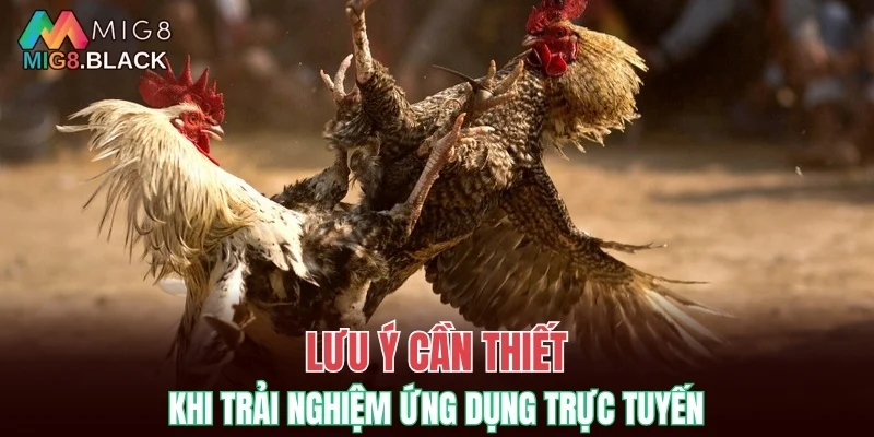 Nhóm Kéo Baccarat - Nhận Biết Lừa Đảo Khi Gia Nhập 7 Lưu ý cần thiết khi trải nghiệm ứng dụng trực tuyến
